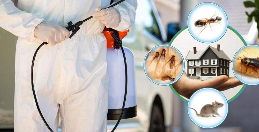 Ayrancılar Böcek İlaçlama