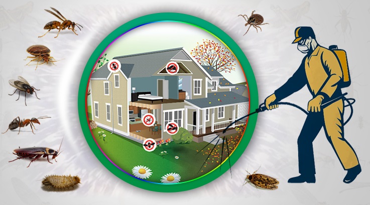 Ayrancılar Böcek İlaçlama