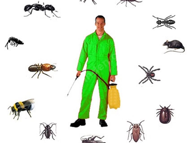 Ayrancılar Böcek İlaçlama